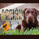 Acción Canina Radio 40