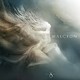 Viento del Norte 22/09/17