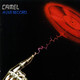 90 - Camel - A live record