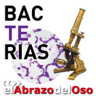 El Abrazo del Oso - Bacterias