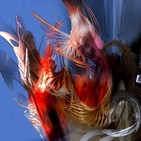 Metalkas 15-04-17 (# 1.1.65) Radio Utopía 107.3 FM (Madrid) & Radio PICA (Barcelona)