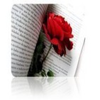 Mi amor... ¡por una rosa!, de Ali Al Haded