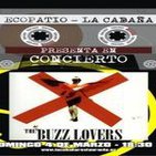 THE BUZZ LOVERS live