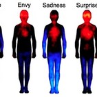 24-03-2017 El cuerpo emocional (segunda parte)