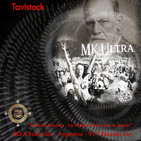 DDLA 5 x 5 - Tavistock