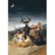 Brujería, magia y alquimia