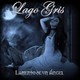 Lago Gris.