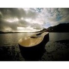Sonó una guitarra para nuestros sexos.