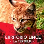 Lucha diaria en materia antiterrorista, el proceso del referéndum catalán y lo más destacado en rugby y balonmano.