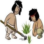 Etnobotania