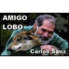 Entrevista a Carlos Sanz en Caza, Pesca y Naturaleza: Exposición Amigo Lobo en Villardeciervos (09/09/2017)