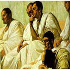Canem volo