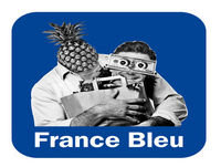 Les Conseils des Experts