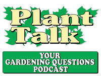 Suggested Annuals For Window Boxes