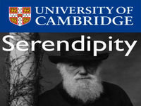 The Stratigraphy of Serendipity