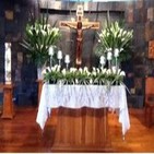 4. Ven Espíritu Santo