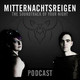 #381 - Voll Versynzt