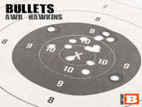 National Reciprocity, Gun Owners of America