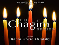 Lag B'Omer - Making the Omer Count