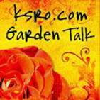 Interview: Rose Parade is Tomorrow