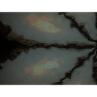 PolaroicaSounds