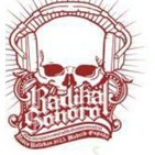 Programa Semanal Radikal Sonoro # 52 Entrevista con la banda LEIZE (26NOV15)