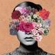 16/06/2017_The Pink Amapolas