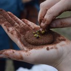 Informativo Medio Ambiental de Castilla-La Mancha