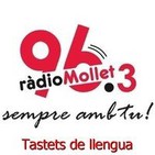 Tastets de llengua