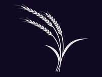 The Spirit's Gifts (Part Two)