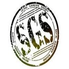 Kingstongrado vol 44 - 4k sound-