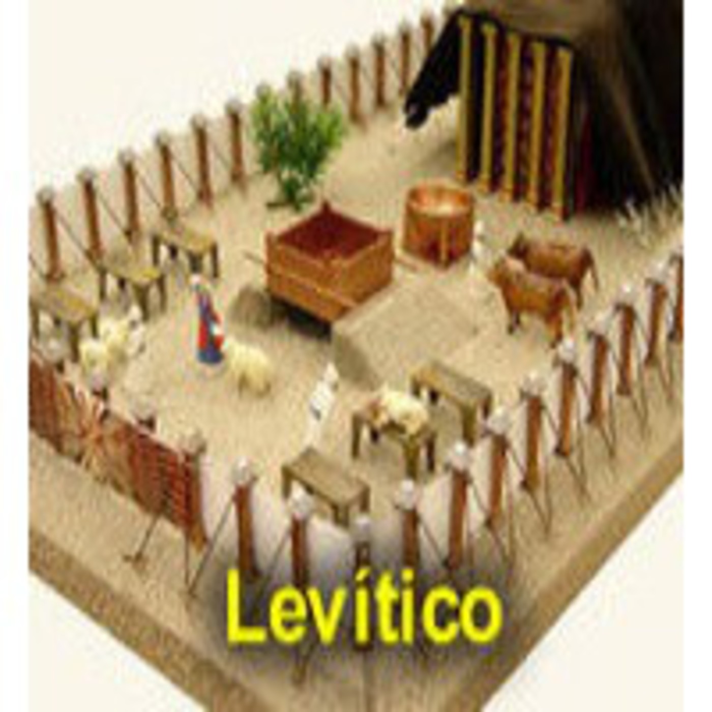 Levítico Biblia En Audio En Antigüo Testamento En Mp3 22 03 A Las 22