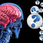 Tu #Cerebro en Forma - Hacia el Equilibrio