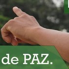Programa No: 12