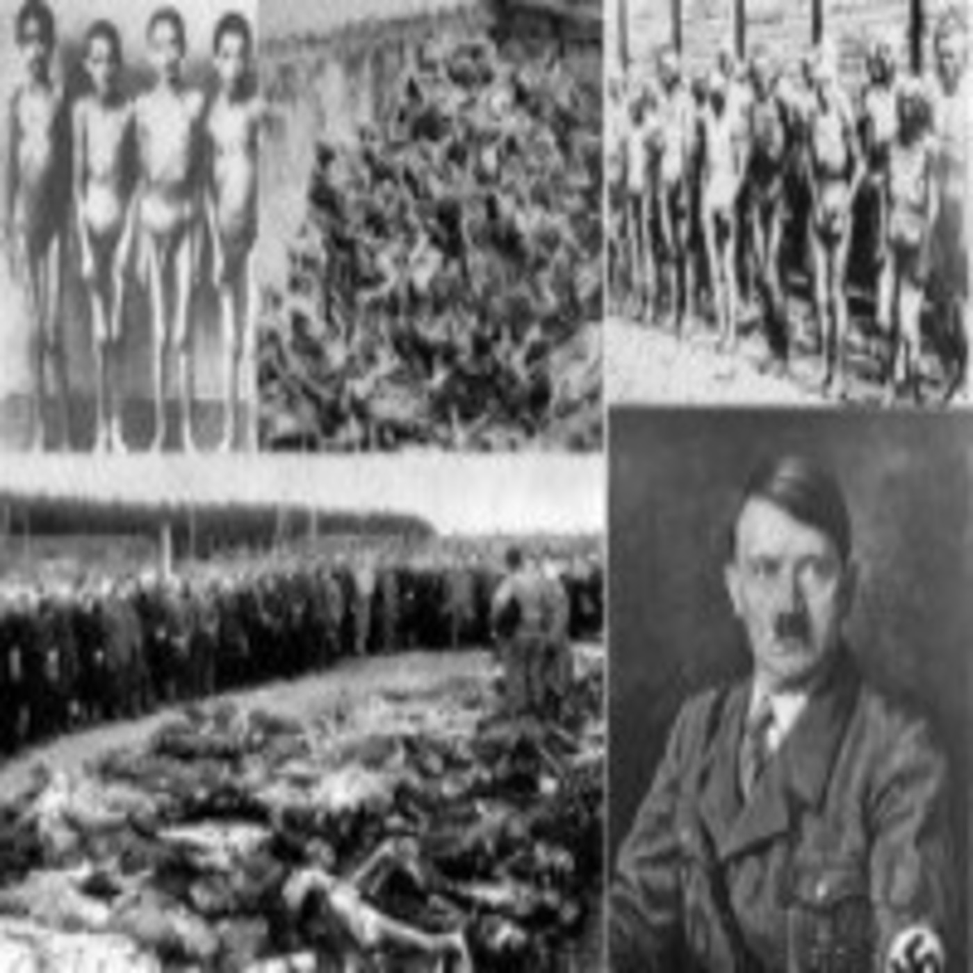 El Holocausto Nazi (Serie completa) en Documentales 