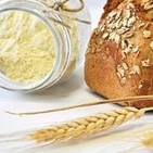 Tritordeum - El nuevo cereal del CSIC