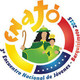 embed image