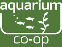 78 Natural Aquariums - Using Nature as much as possible. Live Stream