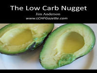 Low Carb Nugget 58