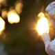 embed image